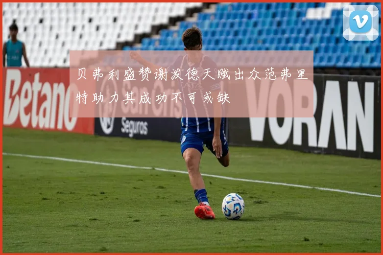 贝弗利盛赞谢泼德天赋出众范弗里特助力其成功不可或缺